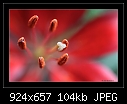 Click image for larger version

Name:	b-1170-asiatic lily-07-11-07-20-90.jpg
Views:	356
Size:	103.8 KB
ID:	7504