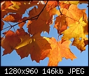 Click image for larger version

Name:	2584ElliotLake.JPG
Views:	409
Size:	145.6 KB
ID:	7518