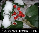 Click image for larger version

Name:	Merry December_DSC00317.JPG
Views:	249
Size:	185.2 KB
ID:	7622