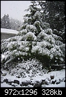 Click image for larger version

Name:	SnowyTreeFront1207.jpg
Views:	268
Size:	328.2 KB
ID:	7633