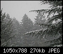 Click image for larger version

Name:	Snow 07 - 01.JPG
Views:	223
Size:	269.9 KB
ID:	7657