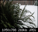 Click image for larger version

Name:	Snow 07 - 05.JPG
Views:	254
Size:	268.9 KB
ID:	7658