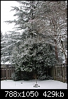 Click image for larger version

Name:	Snow 07 - 16.JPG
Views:	320
Size:	429.0 KB
ID:	7661