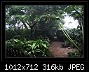 Click image for larger version

Name:	b-7874ps-raingarden-03-02-08-40-85.jpg
Views:	393
Size:	315.7 KB
ID:	8076