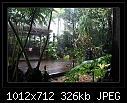 -b-7876ps-raingarden-03-02-08-40-85.jpg
