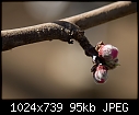 Feb21-D - Spring Approaches-20080643-Edit.jpg-spring-approaches-20080643-edit.jpg