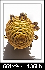 Beehive Ginger Flower-3460 (Zingiber spectabile )-b-3460-ginger-24-02-08-20-90.jpg
