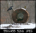 Two Acre Wood (Adjust and Adapt)-taw_feeder_9929.jpg