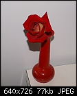 A red rose-rosie-odonnell-dsc01898.jpg