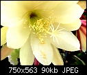 Click image for larger version

Name:	EPI White M.jpg
Views:	331
Size:	90.4 KB
ID:	8821