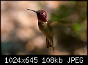-hummer-tucker-wildlife-sanctuary-015-cropped.jpg