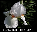 Click image for larger version

Name:	DSCN0835.jpg
Views:	248
Size:	68.3 KB
ID:	8997