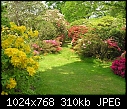 Click image for larger version

Name:	Exbury Garden 14.5.2008  00017.jpg
Views:	325
Size:	310.3 KB
ID:	9016