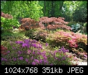 Click image for larger version

Name:	Exbury Garden 14.5.2008  00024.jpg
Views:	287
Size:	351.1 KB
ID:	9018