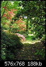 Click image for larger version

Name:	Exbury Garden 14.5.2008  00026.jpg
Views:	235
Size:	188.3 KB
ID:	9019