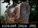Click image for larger version

Name:	Gnarly old tree trunk.jpg
Views:	368
Size:	291.3 KB
ID:	9111