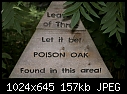 Poison Oak-poison-oak-sign.jpg