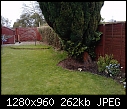Hedge/border/garden advice please help-p0937_15-04-10.jpg