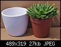 How to add water?-twopots.jpg
