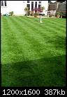 grass seeding issue-tn_after.jpg