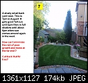 Lawn Experts, please help - New Turf Lawn Dying-badgrass_7.jpg