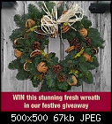 WIN a fresh foliage festive wreath-super-naturals-wreath.jpg