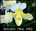 Click image for larger version

Name:	Paphiopedilum Rosy Dawn.jpg
Views:	704
Size:	79.3 KB
ID:	4023