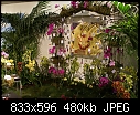 Click image for larger version

Name:	30JokersWildDSC00489.jpg
Views:	301
Size:	480.2 KB
ID:	4622