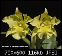 Click image for larger version

Name:	Blc Ports of Pradise 07K.jpg
Views:	484
Size:	115.7 KB
ID:	4989