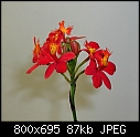 Click image for larger version

Name:	Epc (Epi Star Valley X Epc Fireball) flr.jpg
Views:	377
Size:	86.5 KB
ID:	5061