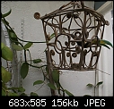 -hummerchicks-nest-dsc00627.jpg