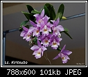 Click image for larger version

Name:	Lc. Kiritsubo.jpg
Views:	858
Size:	101.1 KB
ID:	7647