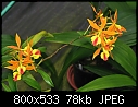 Click image for larger version

Name:	Epc Fireball 'Enewetok'.jpg
Views:	645
Size:	78.1 KB
ID:	7926