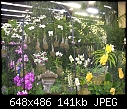 19th World Orchid Conference-100_0684.jpg
