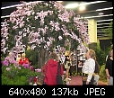 19th World Orchid Conference-100_0698.jpg