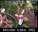 19th World Orchid Conference-100_0703.jpg