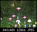 19th World Orchid Conference-100_0704.jpg