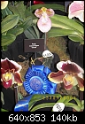 19th World Orchid Conference-100_0715.jpg