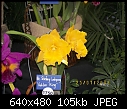 19th World Orchid Conference-100_0716.jpg