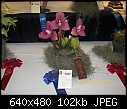 19th World Orchid Conference-100_0717.jpg