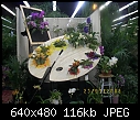 19th World Orchid Conference-100_0720.jpg