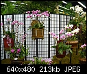 19 WOC-oriental-display-1.jpg
