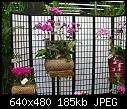 19 WOC-oriental-display-2.jpg