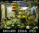 19 WOC-oriental-display-3.jpg