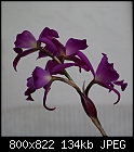 Click image for larger version

Name:	Laelia Lookalike 2041-01660.jpg
Views:	534
Size:	134.3 KB
ID:	8089