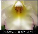 Click image for larger version

Name:	Iwan Apple Blossom2with glow.jpg
Views:	106
Size:	88.6 KB
ID:	8626