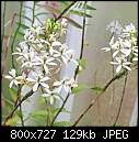 Click image for larger version

Name:	Epi secundum white.jpg
Views:	150
Size:	128.6 KB
ID:	8690