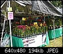 Sights at the Redland Festival-booth-2.jpg