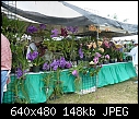 Sights at the Redland Festival-booth-7.jpg