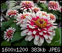 Click image for larger version

Name:	DSCN4930.JPG
Views:	331
Size:	382.6 KB
ID:	10003